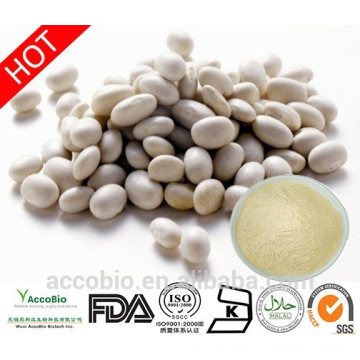 Fornecimento por atacado de alta qualidade em pó de extrato de feijão branco 10: 1 Phaseolin1%